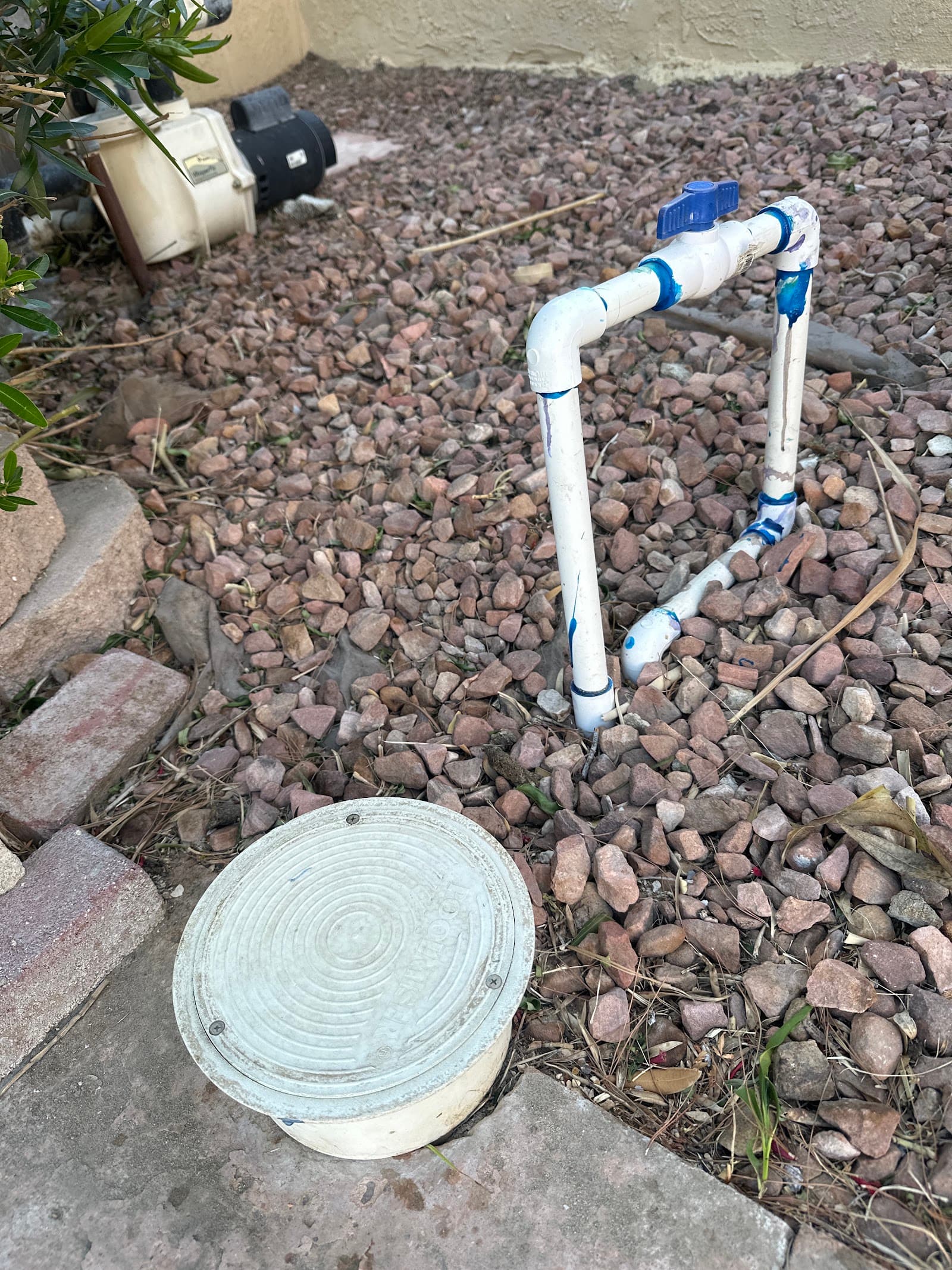 Weekly Pool Cleaning photo 4